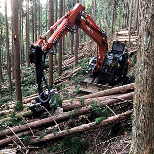 特選「プロセッサで造材」