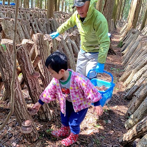 グランプリ「じいじ、ボクも手伝うよ」