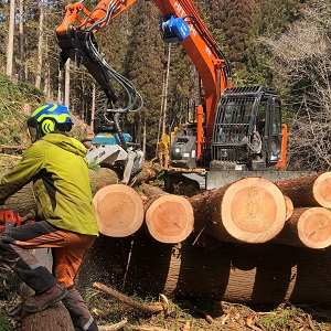 特選「手造材」