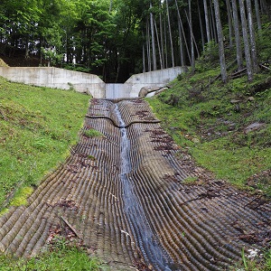 特選「大切な山」